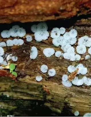 圖片關鍵詞 圖片關鍵詞