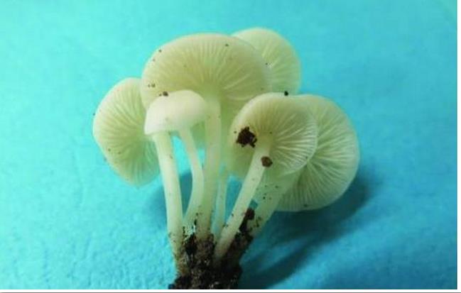 圖片關鍵詞 圖片關鍵詞