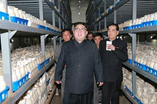 圖片關(guān)鍵詞 圖片關(guān)鍵詞