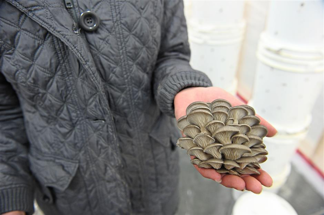 圖片關(guān)鍵詞 圖片關(guān)鍵詞