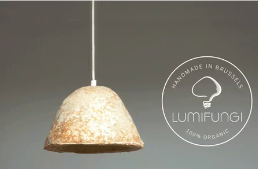 圖片關(guān)鍵詞 http://m.lkdc.com.cn/ewebeditor/uploadfile/20180727085601461001.png