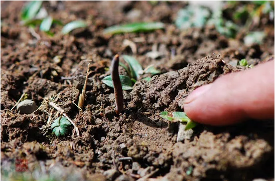 圖片關鍵詞 http://m.lkdc.com.cn/ewebeditor/uploadfile/20180921101313325001.png