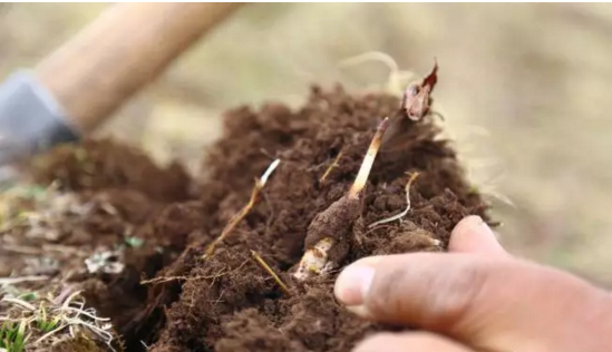 圖片關鍵詞 http://m.lkdc.com.cn/ewebeditor/uploadfile/20180921101228689001.png