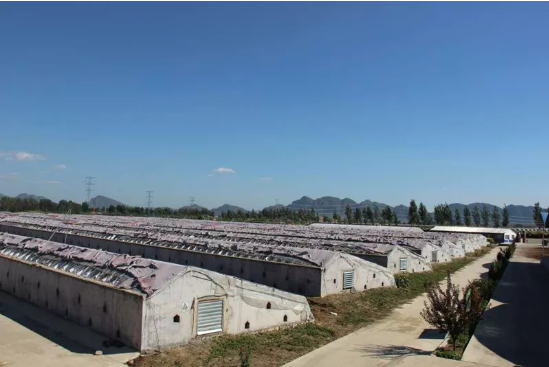 圖片關鍵詞 圖片關鍵詞