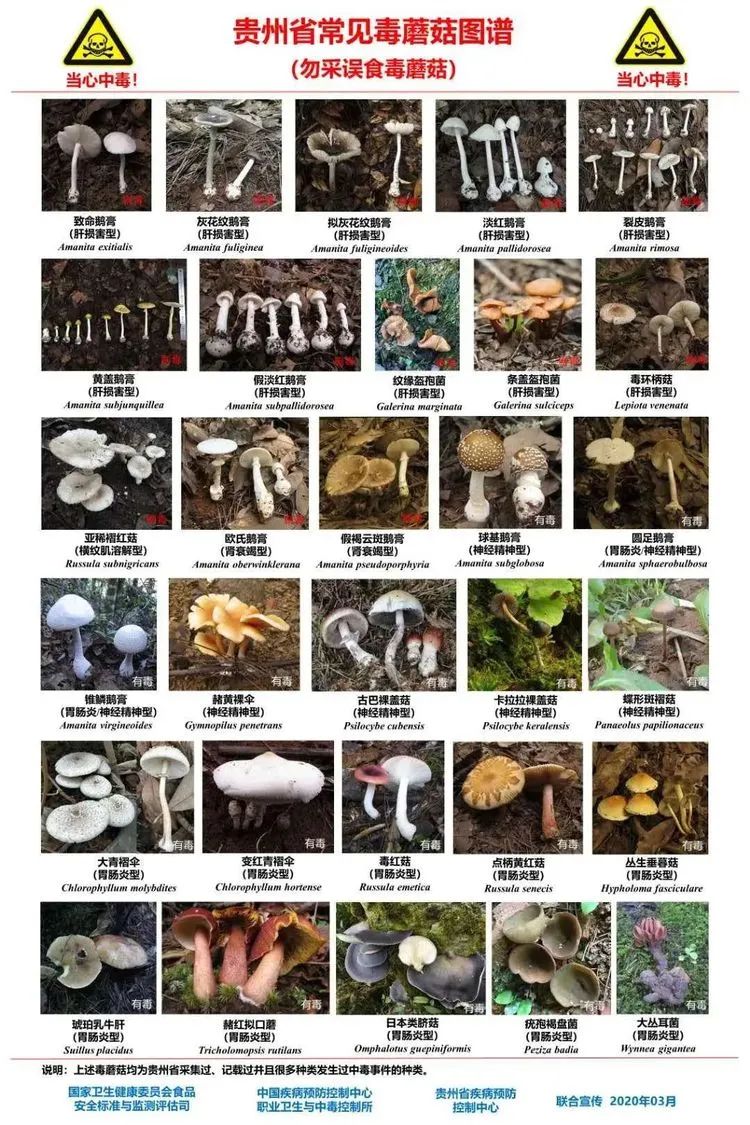 圖片關鍵詞 https://mmbiz.qpic.cn/mmbiz_jpg/OnRbAd1HL447AVvicLf3JHEJun5lHxh0y5NRmM8mLNuhUCicH1OhlibyC6Jc4RltXr2zAovBJxNkznmp2ibv3kRthQ/640?wx_fmt=jpeg