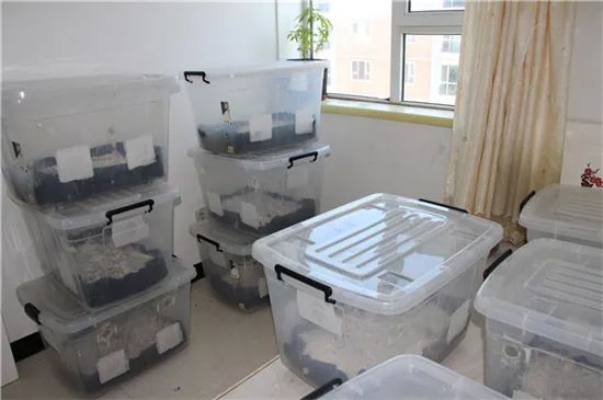 圖片關鍵詞 https://mmbiz.qpic.cn/mmbiz_jpg/OnRbAd1HL47qC0uibwrNsuw7LGnZfZLuyFsNiaNp7IgDRibHsY8nvpQyHRxxAnDntoicEAgMAWWQqibS1BBVXNnklXA/640?wx_fmt=jpeg