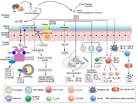 圖片關鍵詞 https://mmbiz.qpic.cn/mmbiz_jpg/OnRbAd1HL44da8qpWCnn2RmJEB4eNMYmrvlicur28g6AsHtayHu6ebdtms8Pqn6miczyOCjMheVms0DTvPHsThicw/640?wx_fmt=jpeg