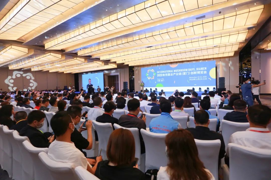 圖片關鍵詞 https://mmbiz.qpic.cn/mmbiz_jpg/x7jCkpdSQyJP3WeCwKGYonFRmAjgj770YPR3icII8u1wDmWCIA1ic5E225uBaRQAMicMFaGBcIyEW1LljpxCJW5IQ/640?wx_fmt=jpeg