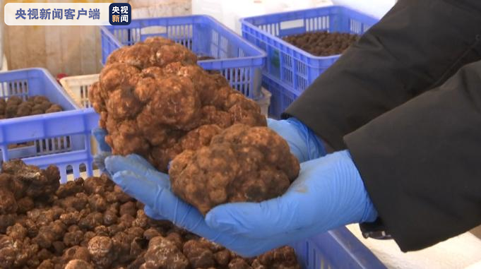 圖片關鍵詞 圖片