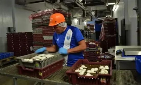 圖片關(guān)鍵詞 圖片