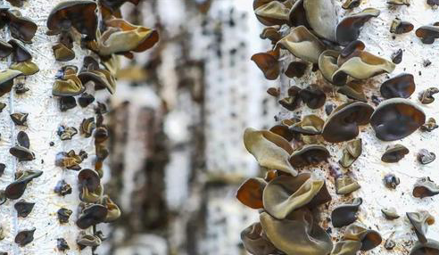 圖片關(guān)鍵詞 圖片