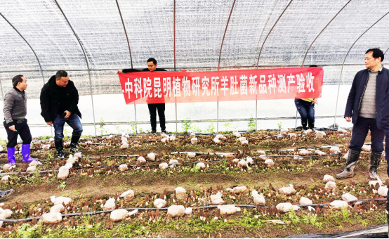 圖片關(guān)鍵詞 圖片