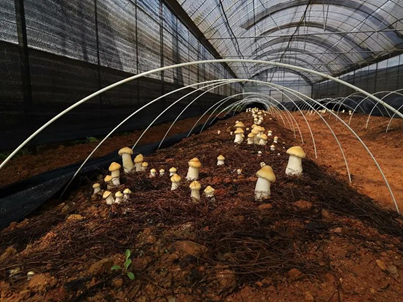 圖片關鍵詞 圖片關鍵詞