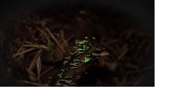 圖片關(guān)鍵詞 圖片關(guān)鍵詞