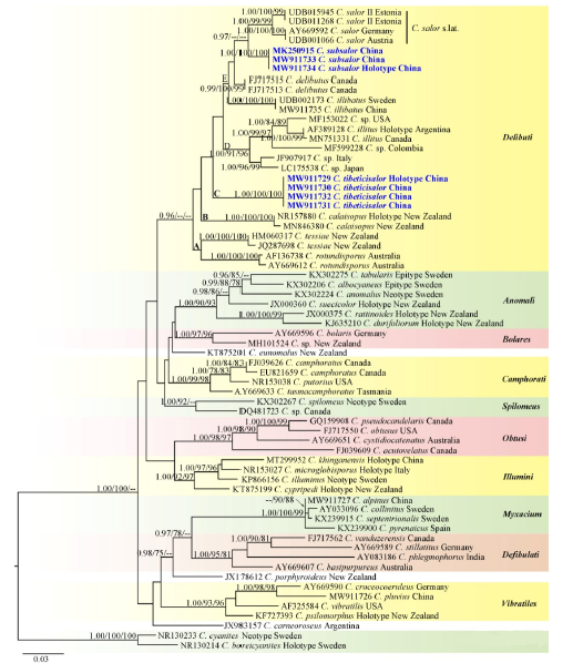 圖片關(guān)鍵詞 https://mmbiz.qpic.cn/mmbiz_png/tViaTicjwibVZl8tInGjpzxgI4g7C4iatjuD3ricRzlGdU4k65VyMWuL3fbSdkdZN8ZH2QHRA5nwukunIftic5ZWyfibw/640?wx_fmt=png