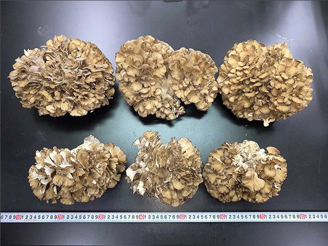 圖片關鍵詞 圖片