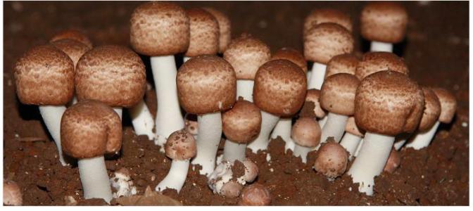 圖片關鍵詞 圖片關鍵詞