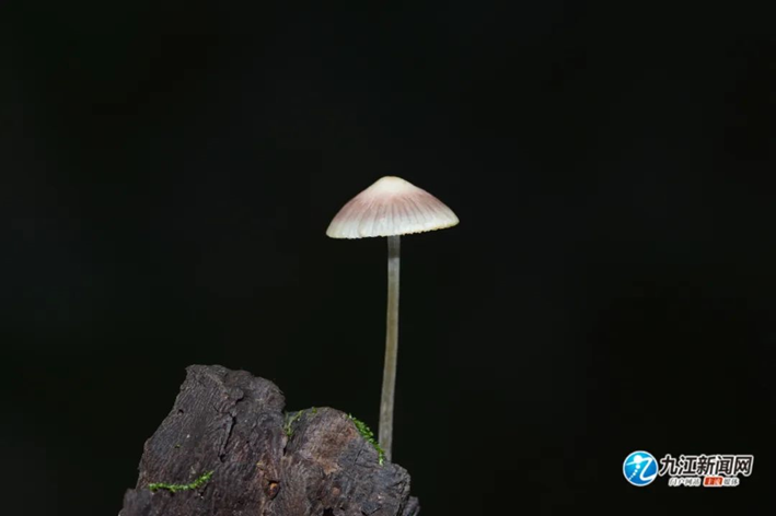 圖片關鍵詞 圖片關鍵詞