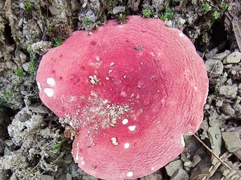 圖片關(guān)鍵詞 圖片關(guān)鍵詞