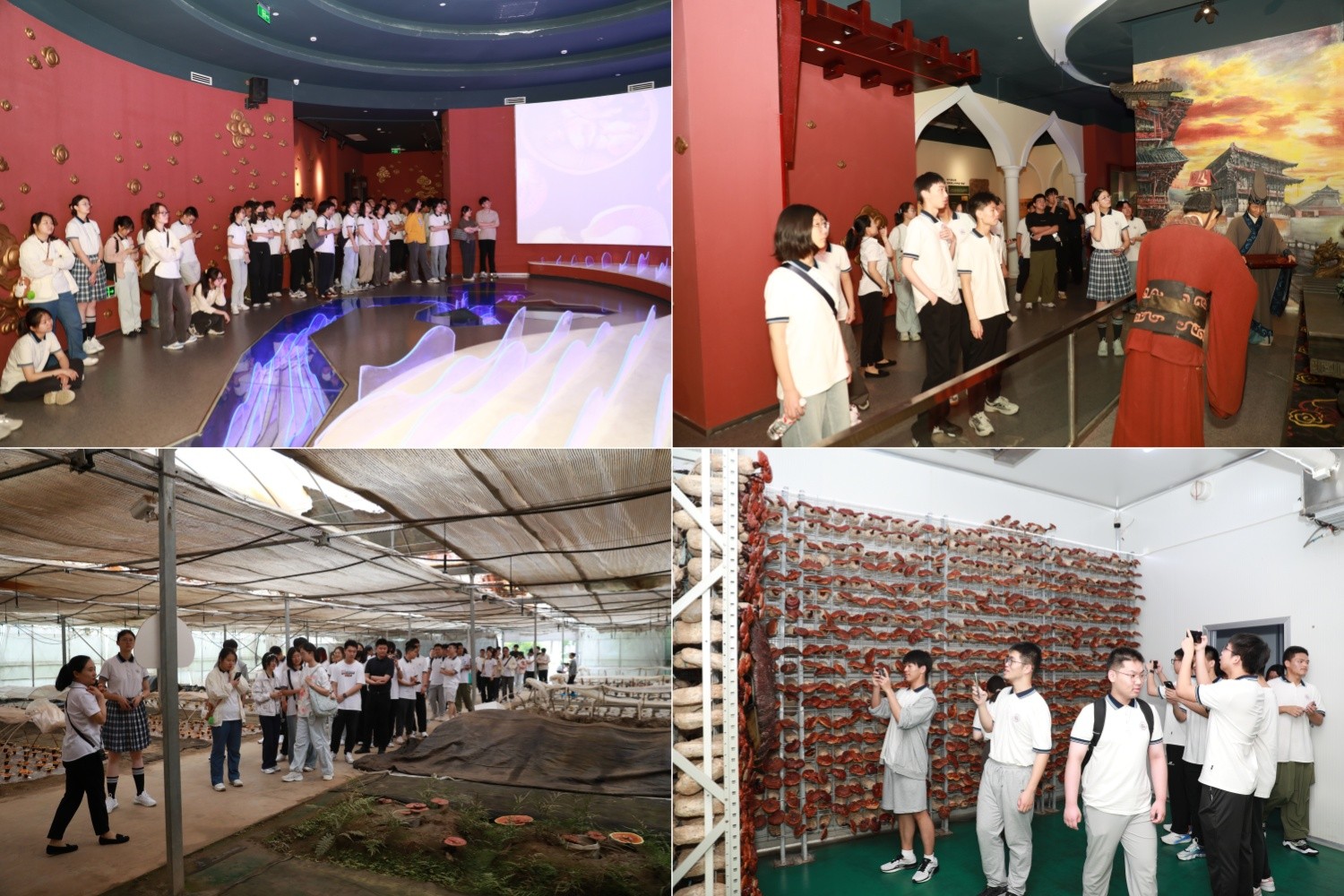 圖片關鍵詞 圖片關鍵詞