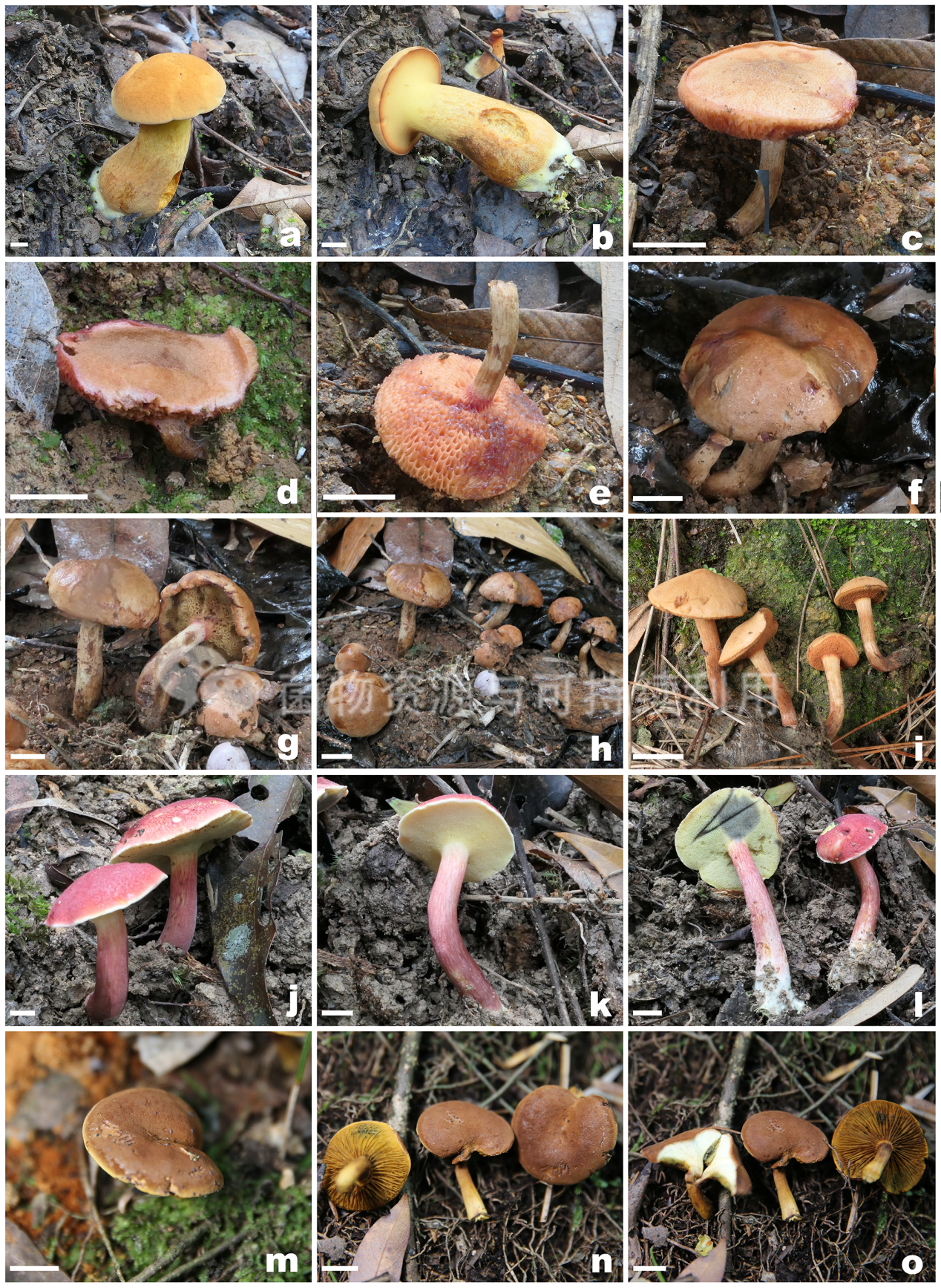 圖片關(guān)鍵詞