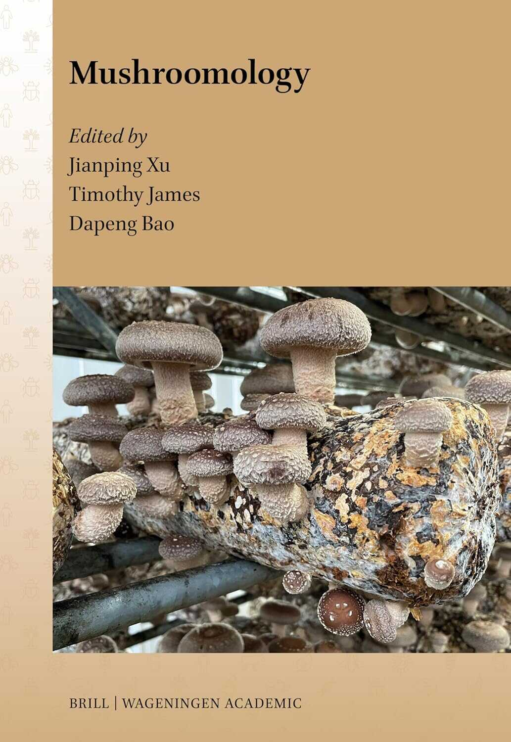 圖片關鍵詞